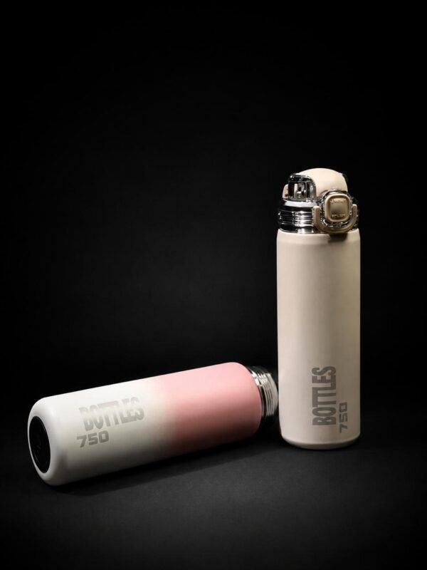 Gradient Stainless Steel Water Bottle