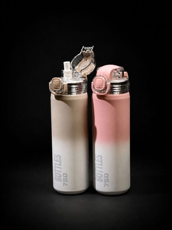 Gradient Stainless Steel Water Bottle